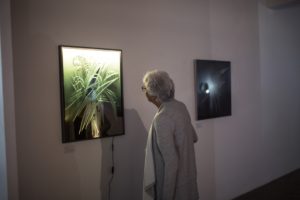 ivan-kolman-cut-glass-paintings-at-the-bohemian-glass-show-exhibition-knupp-gallery-la